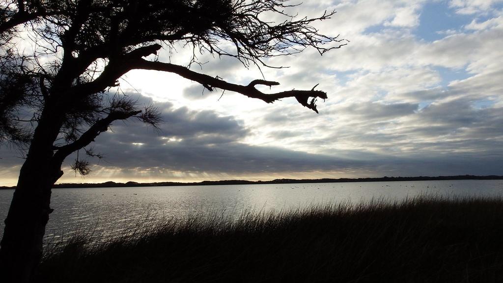 Australind Tourist Park Hotel ภายนอก รูปภาพ
